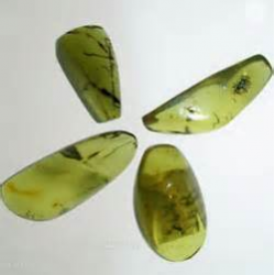 Green Amber Oil