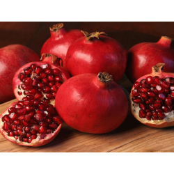 Pomegranate Oil