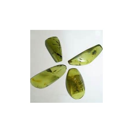 Green Amber Oil