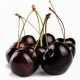 Black Cherry Oil