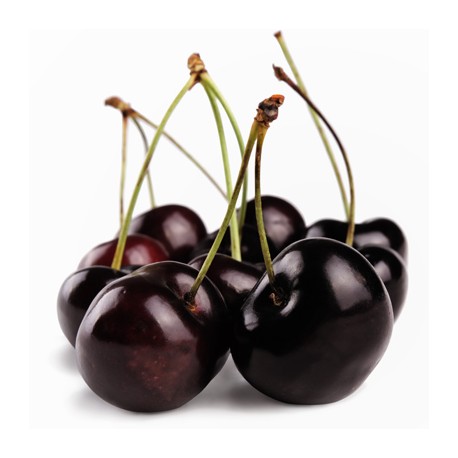 Black Cherry Oil