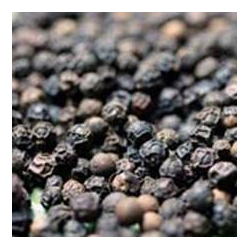 Black Pepper Oil