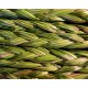 Sweetgrass Stick  Incense