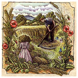 Lammas Oil