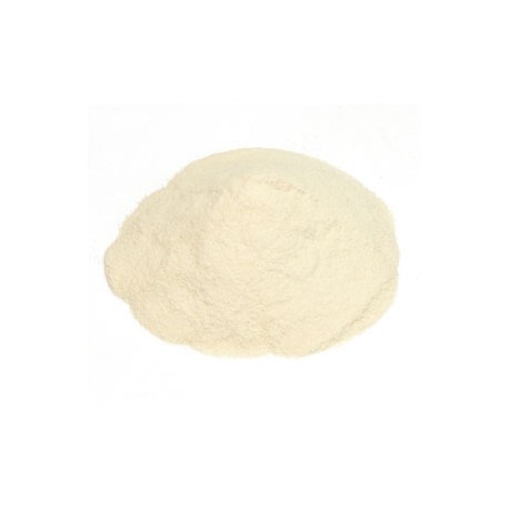 Agar Powder (Gelidiella acerosa)