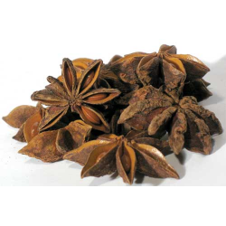 Anise Star - Whole (Illicium anisatum)