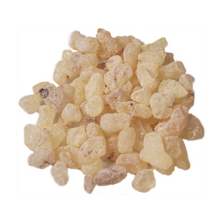 Copal Resin (Bursera microphylla)