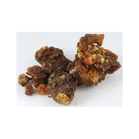 Opopanax Gum/Sweet Myrrh (Opopanax chironium)