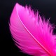 Pink Feather Body Lotion